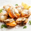 Frozen Scallop Meat with Coral – Sweet, Plump & Shell-Free