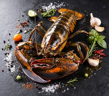 Wild Maine Lobster – Fresh Frozen, Sweet & Succulent