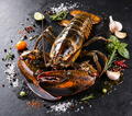 Wild Maine Lobster – Fresh Frozen, Sweet & Succulent