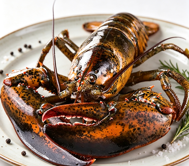 Wild Maine Lobster – Fresh Frozen, Sweet & Succulent