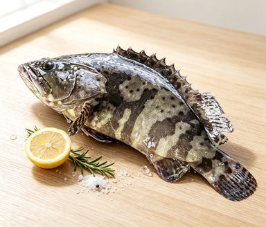 Whole Stonefish – Fresh Frozen, Firm White Flesh